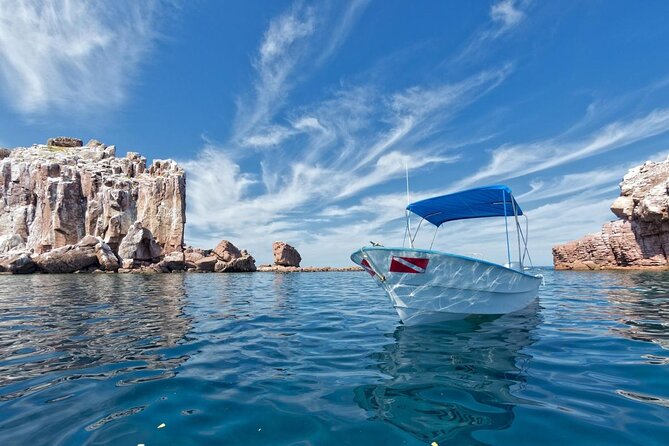 Espiritu Santo Island Day Tour - Key highlights worth planning around