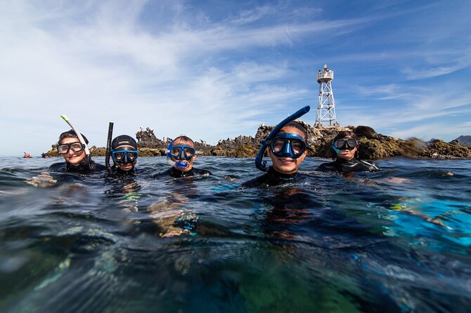 Espíritu Santo Island snorkel and sightseeing tour on Small Group - What is actually included, and what you still handle yourself