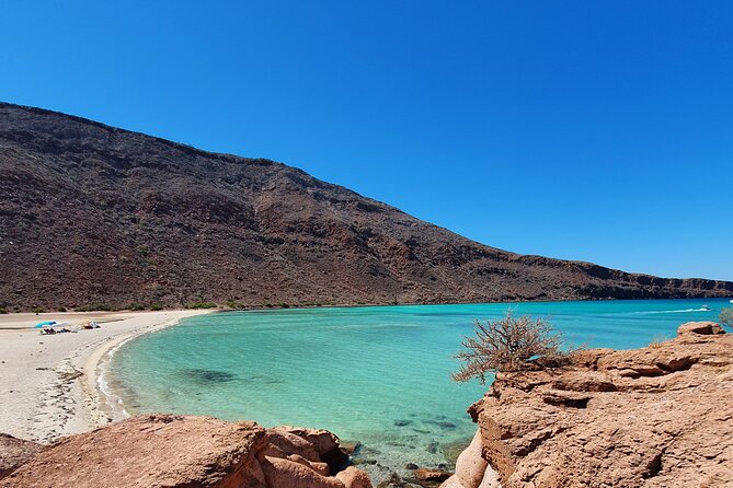Espíritu Santo Island snorkel and sightseeing tour on Small Group - Price and value: $179.12 for a long, included-day experience