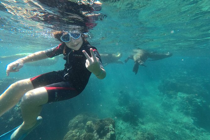 Espíritu Santo Island snorkel and sightseeing tour on Small Group - Isla Espíritu Santo: beaches, landmarks, and the bird-and-pearls route