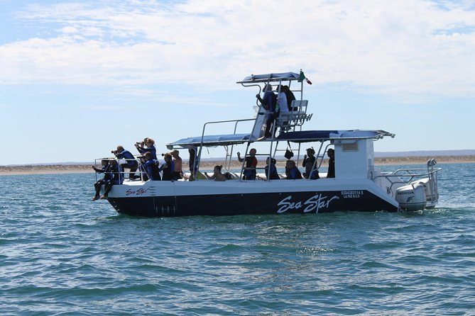 Espiritu Santo Island Snorkel & Sea Lion Adventure - Price, Fees, and Whether This Is Actually Good Value