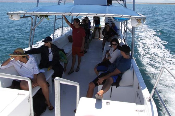 Espiritu Santo Island Snorkel & Sea Lion Adventure - Who This Sea Lion Snorkel Fits Best (And Who Might Want Another Option)