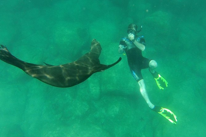 Espiritu Santo Island Snorkel & Sea Lion Adventure - Practical Tips Before You Go From La Paz