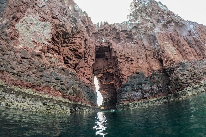Espiritu Santo Island Snorkel & Sea Lion Adventure - Should You Book This Sea Lion Adventure?