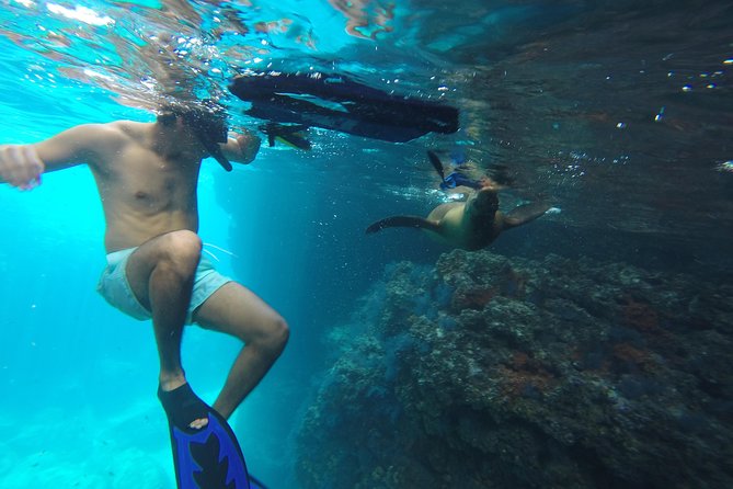 Espiritu Santo Island Snorkel & Sea Lion Adventure - Ensenada Grande Beach Time, Lunch, and Your Second Chance to Snorkel