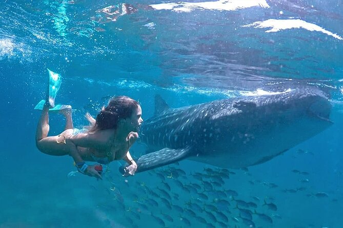 Espíritu Santo Island: snorkel SEA LIONS and Balandra Small Group - Balandra Beach stops: pretty shore time, but don’t plan to linger