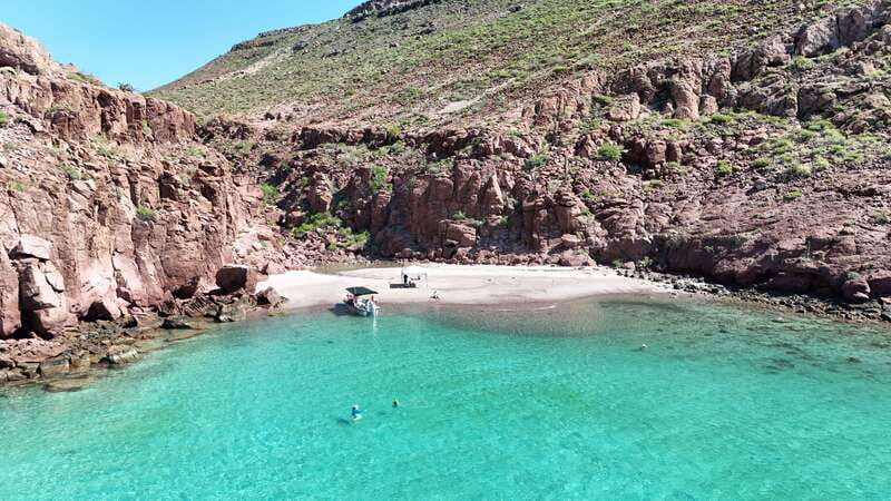 Espiritu Santo Island: Snorkeling Sea Lion Adventure - After snorkeling: reef time, corals, fish, and optional add-ons