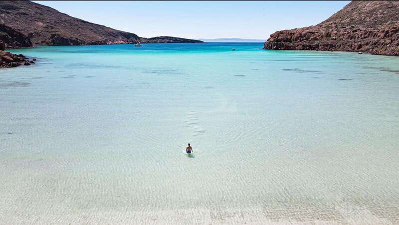 Espiritu Santo Island: Snorkeling Sea Lion Adventure - Price and value: what $133 buys (and why it feels fair)