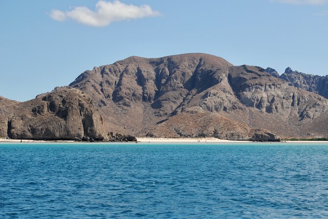 Espiritu Santo Island Tour - Stop 1: San Rafaelito Island, sea lions and a tight 30-minute window