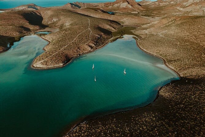 Espiritu Santo Island Tour - What a “good day” feels like on this tour