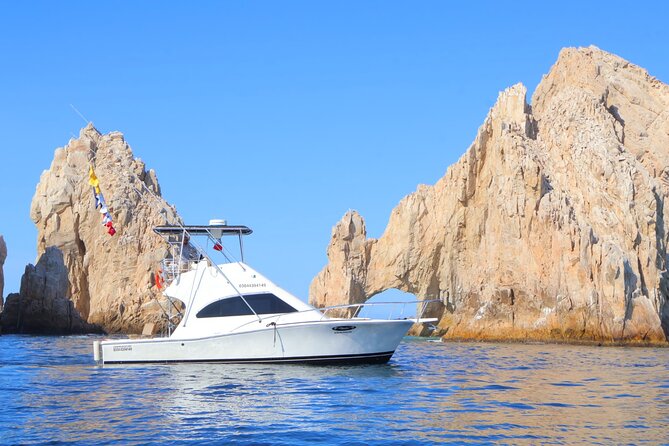 Exclusive Fishing Experience in Los Cabos – Aboard the Phantom I - How Catch-And-Release for Marlin and Sailfish Works