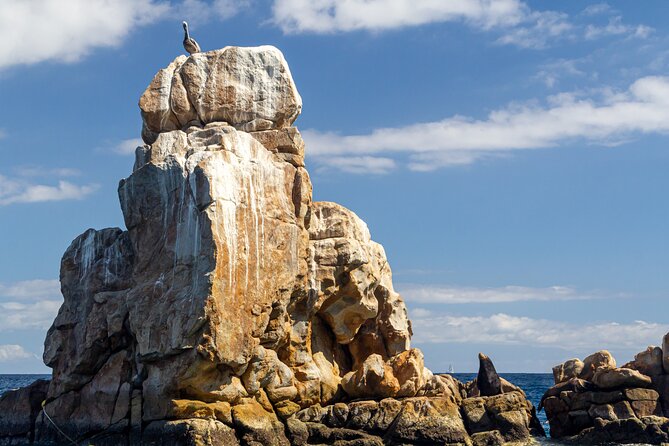 Experience the Clear Boat adventure & Cabo San Lucas City Tour - Meals, Tequila, and How to Plan Your Time