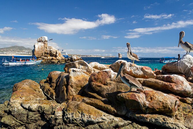 Experience the Clear Boat adventure & Cabo San Lucas City Tour - Stop 1: The Arch of Cabo San Lucas from a Clear-Boat Window