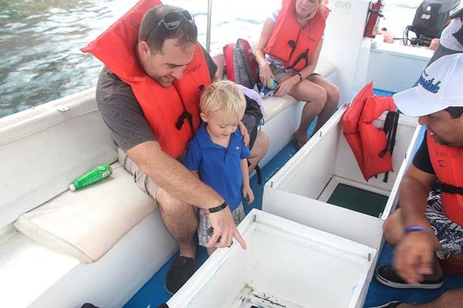 Famous Arch tour with Glass Bottom Boat. - Why This Cabo Arch Cruise Feels Like a Real Boat Ride