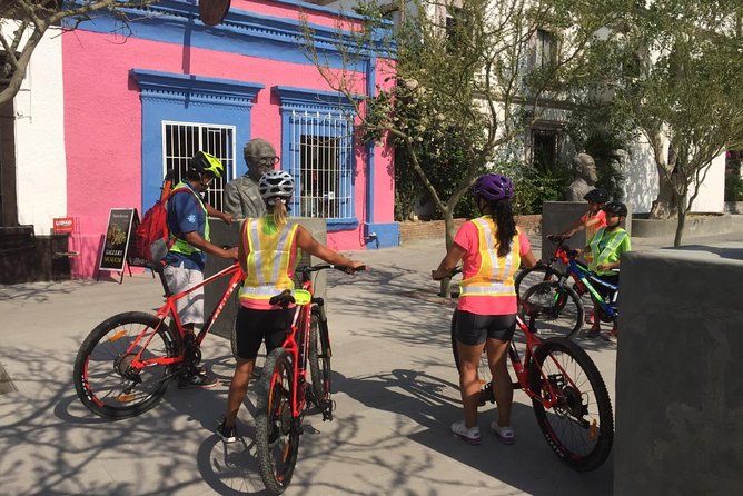 Following the bike lane, discover the main attractions of San José del Cabo - Stop 2, San José Estuary and Bird Sanctuary: Wildlife With Human History
