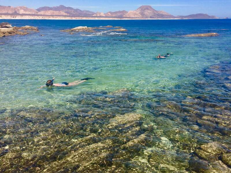 From Cabo: Cabo Pulmo Marine Park Snorkeling and Kayaking - Key things that make this Cabo Pulmo day trip worth it