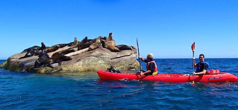 From Cabo: Cabo Pulmo Marine Park Snorkeling and Kayaking - Why Cabo Pulmo feels different once you’re on the water