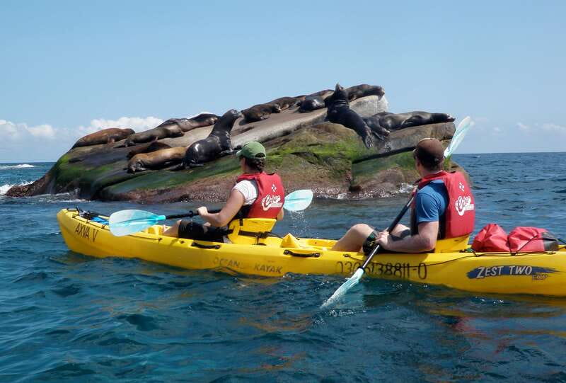 From Cabo: Cabo Pulmo Marine Park Snorkeling and Kayaking - Paddling to La Sirenita: the sea lion part of the day