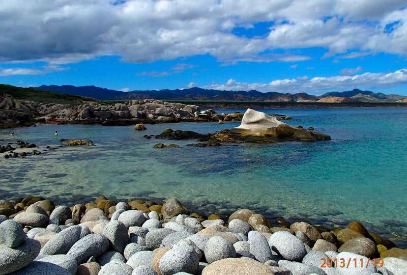 From Cabo: Cabo Pulmo Marine Park Snorkeling and Kayaking - Price and logistics: what $230 buys you