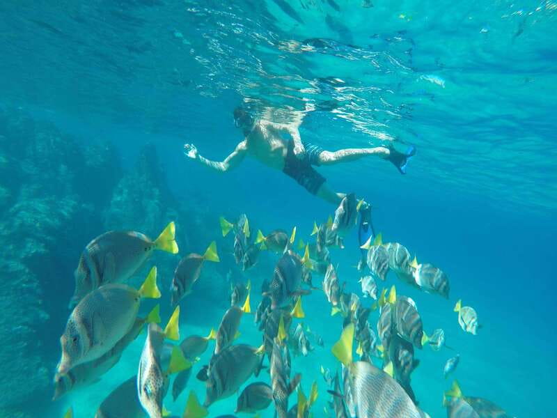 From Cabo San Lucas: Lovers Beach and El Arco Boat Trip - Your Boat Day: What the El Arco Portion Feels Like