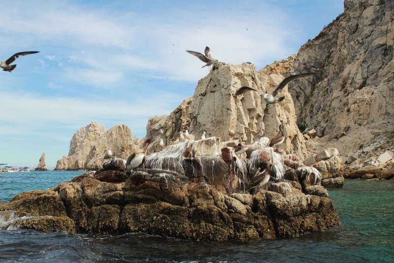 From Cabo San Lucas: Lovers Beach and El Arco Boat Trip - What’s Included, What’s on You, and What to Bring