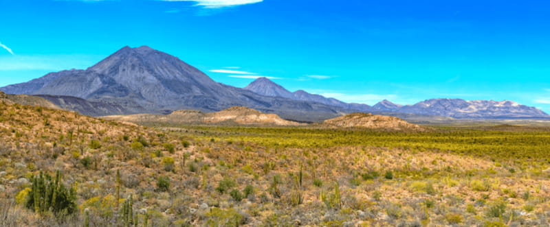 From Los Cabos: City Tour La Paz, Balandra and Todos Santos - Balandra Beach: turquoise water, the mushroom rock, and 2 to 3 hours that actually works