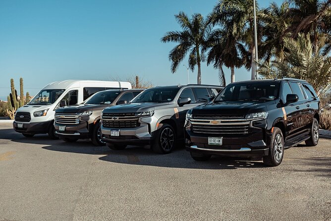 Full-Day La Paz Private Tour from Los Cabos - Pickup, vehicle comfort, and group size that actually helps