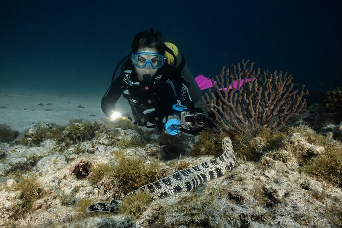 Full Day Private Scuba Diving in Espiritu Santo Island - Key things that make this outing worth your time