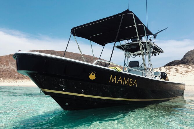 Full Day Private Scuba Diving in Espiritu Santo Island - A private Espiritu Santo day that starts with a classic La Paz coastal stop