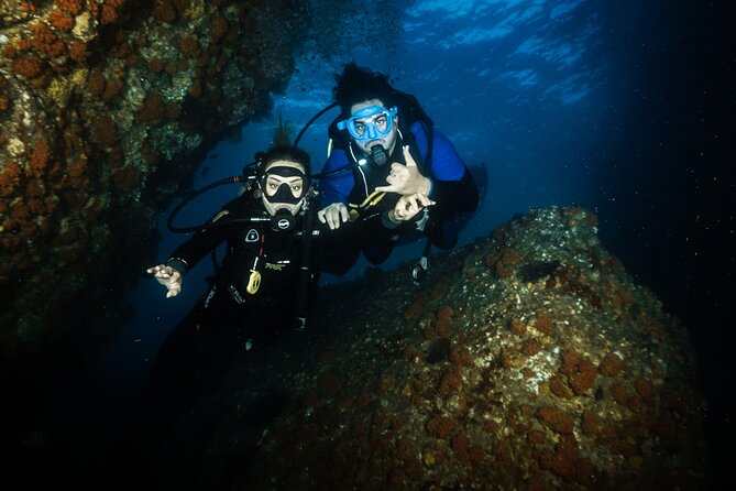 Full Day Private Scuba Diving in Espiritu Santo Island - La Lobera sea lions, and the real seasonal rule you must know