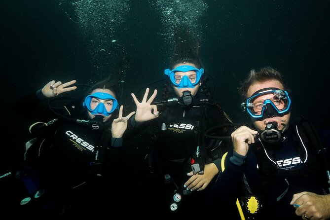 Full Day Private Scuba Diving in Espiritu Santo Island - What you get above water: lunch, snacks, and a calm cruising rhythm