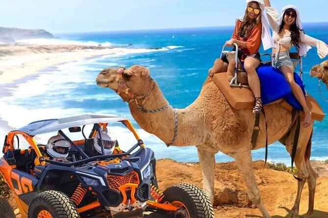 Fun Camel Ride and UTV COMBO with Tequila Tasting! - Key Highlights You’ll Actually Care About