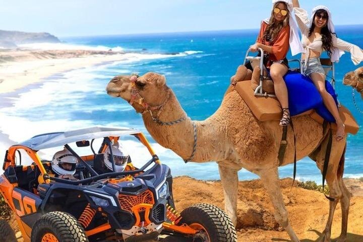Fun Camel Ride and UTV COMBO with Tequila Tasting! - The Phone and Camera Rule: How It Affects Your Photos and Your Patience