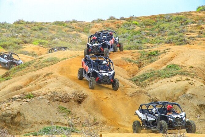 Fun Camel Ride and UTV COMBO with Tequila Tasting! - The Camel Ride: Pacific Ocean Views and Desert Scenery You Can Feel