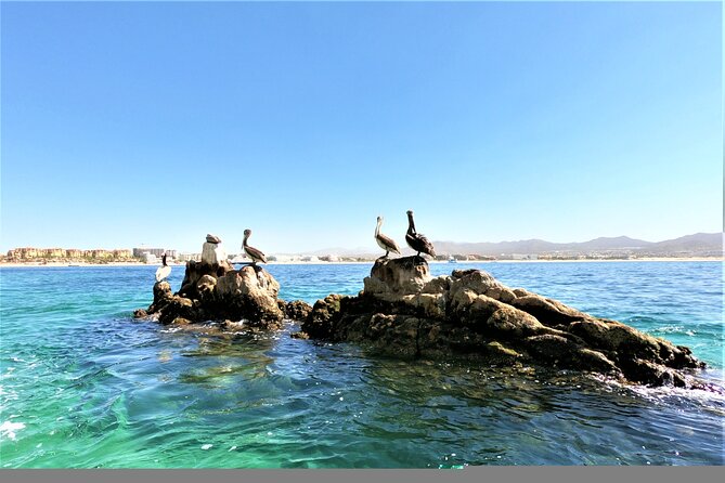 Glass Bottom Boat in Cabo San Lucas, free time in Playa del Amor - Should You Book This Glass-Bottom Boat in Cabo?