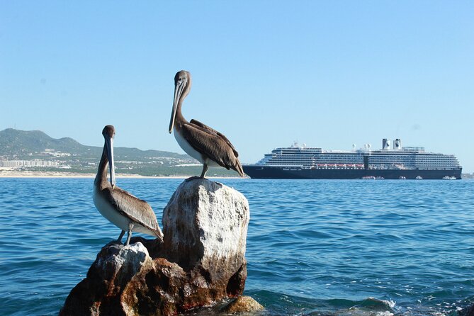 Glass Bottom Boat in Cabo San Lucas, free time in Playa del Amor - The Route: El Arco, Neptune’s Finger, Pelican Rock, and More
