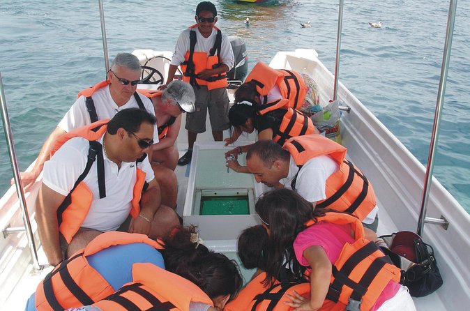 Glass Bottom Boat Ride to the Arch - Getting Ready: What to Bring and How to Plan Your Day