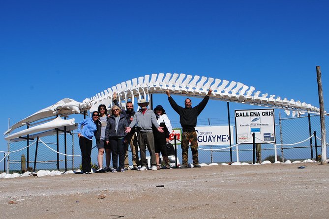 Gray Whale-Watching 2-Day Experience in Magdalena Bay - What to pack and how to dress for whale time in Baja