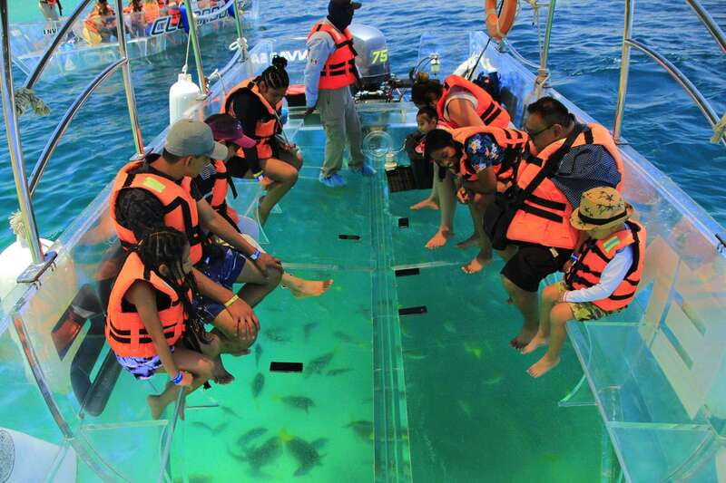 Guided Cabo Tour: Boat | Tacos & Tequila | Photos & Transfer - Taco and Tequila Tasting, With Vegetarian Options