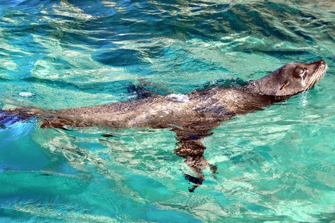 Guided Tour Los Cabos: Boat | Tacos & Tequila | Photos & Transfer - Logistics That Actually Matter: Pickup Rules and Communication