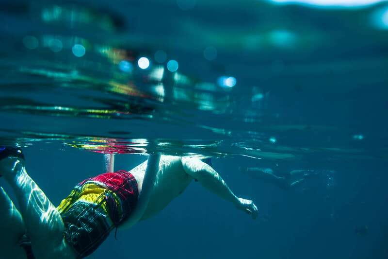 Half Day Guided Snorkel Tour in Los Cabos - Santa Maria Bay snorkel: cliffs, calm water, and wildlife you can actually see