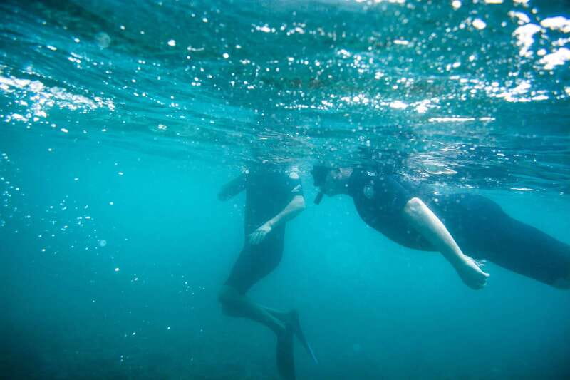 Half Day Guided Snorkel Tour in Los Cabos - Guides: the difference between a good trip and a memorable one