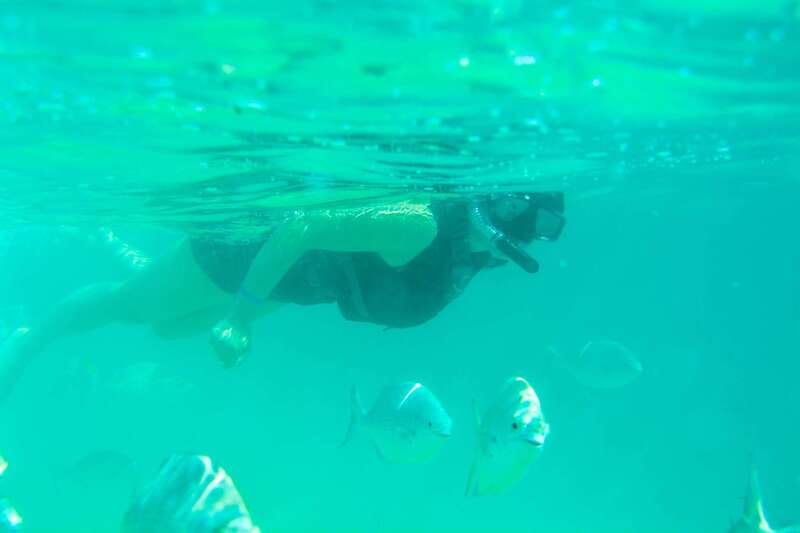 Half Day Guided Snorkel Tour in Los Cabos - Getting to the water: pickup timing and how to avoid friction