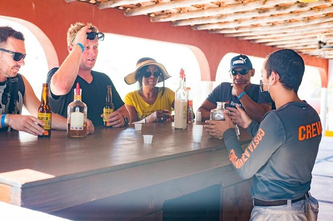 Half-Day San José del Cabo Zip Line and Rappel Adventure - Price check: $120 plus a $15 entrance fee, and what you get for it
