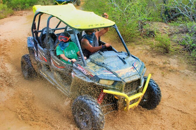 Half-day Wild Desert Polaris Razor UTV Tour - Who should book, and who might want a different plan