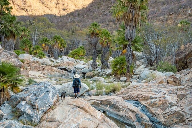 Hidden Gems of Sierra Laguna: El Triunfo and Natural Springs. - Key highlights I’d build your day around