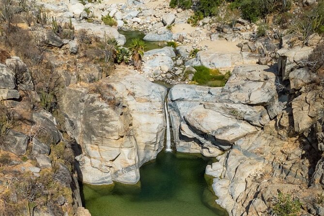Hidden Gems of Sierra Laguna: El Triunfo and Natural Springs. - Setting Off From La Paz: Timing and How the Day Flows