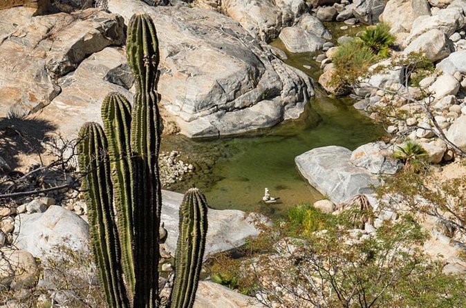 Hidden Gems of Sierra Laguna: El Triunfo and Natural Springs. - The Ride, the Pace, and Why a Max of 8 Makes a Difference
