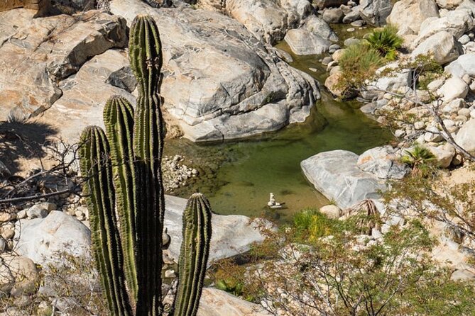 Hidden Gems of Sierra Laguna: El Triunfo and Natural Springs. - Weather, Trails, and Who This Tour Fits Best