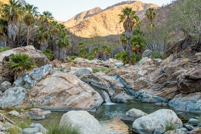Hidden Gems of Sierra Laguna: El Triunfo and Natural Springs. - El Triunfo: La Ramona, Mining-Era Remnants, and a Cactus Focus
